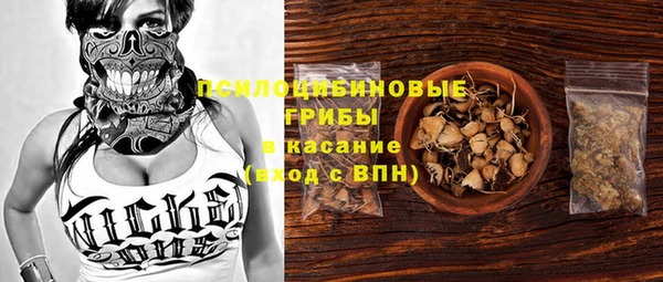 ПСИЛОЦИБИНОВЫЕ ГРИБЫ Абдулино