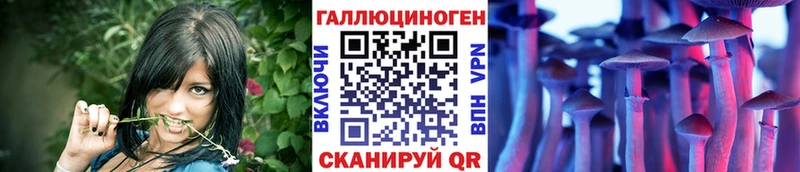купить наркоту Канск Галлюциногенные грибы Psilocybine cubensis